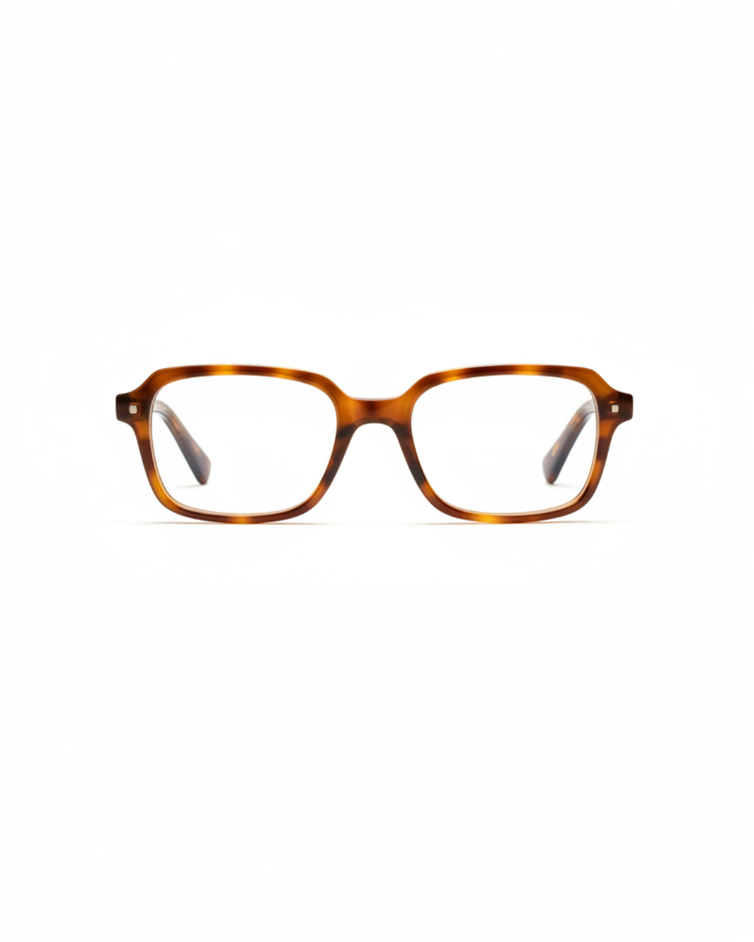 Eyewear Try-On input Eyewear Try On input