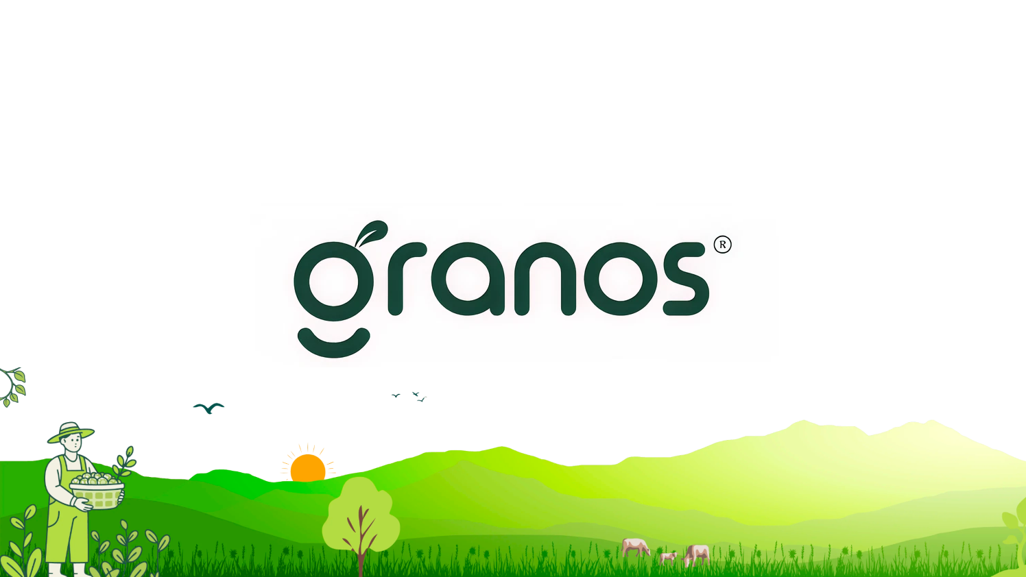 Granos